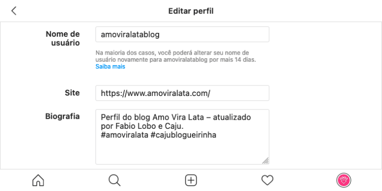 Como Criar Uma Biografia Para Instagram Veja Ideias E Dicas Vitrine Pix